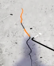 1f74e51a-d1c4-4d21-83c5-f77453f7fbfc