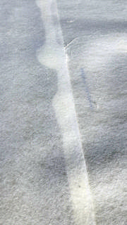 ec251567-95e3-4d60-aa71-a44ba521c0c8