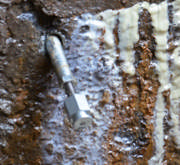 339d5f93-3aee-49fc-9d50-747686a4111f